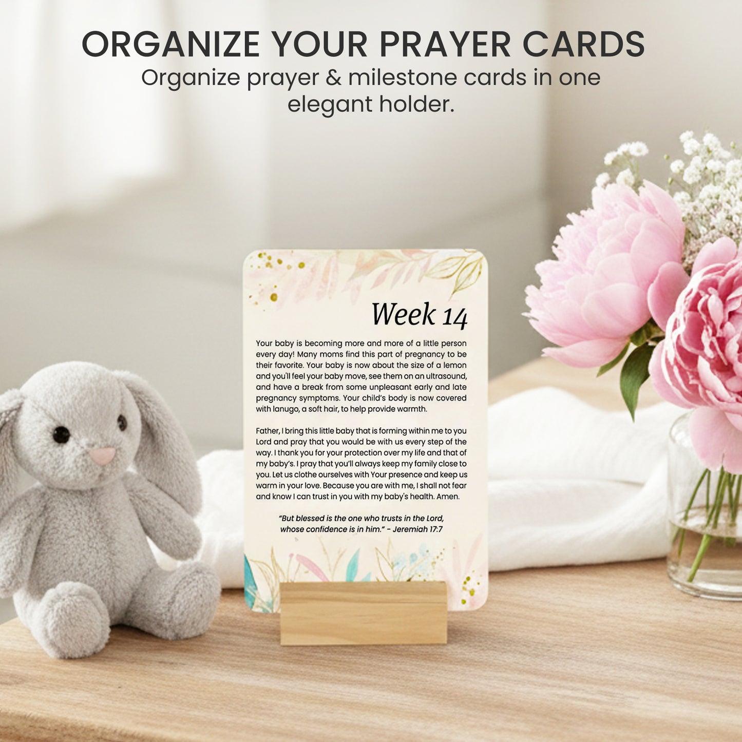Pregnancy Prayer Cards with Milestone Cards